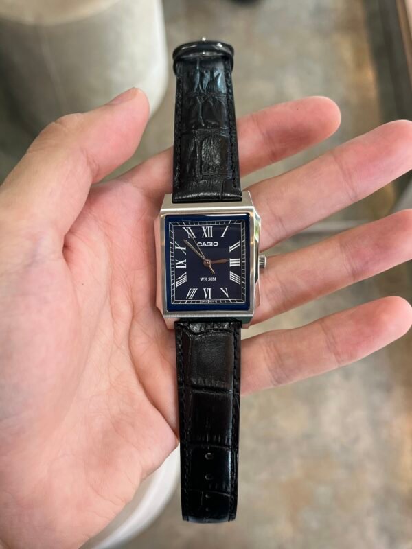 IMG_3721 CASIO mtp-b190l-2bvdf